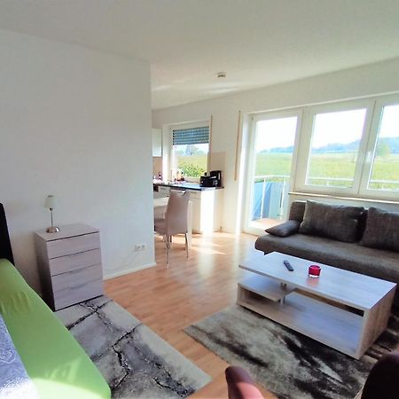 Bodensee Apartments Friedrichshafen Schnetzenhausen Екстериор снимка