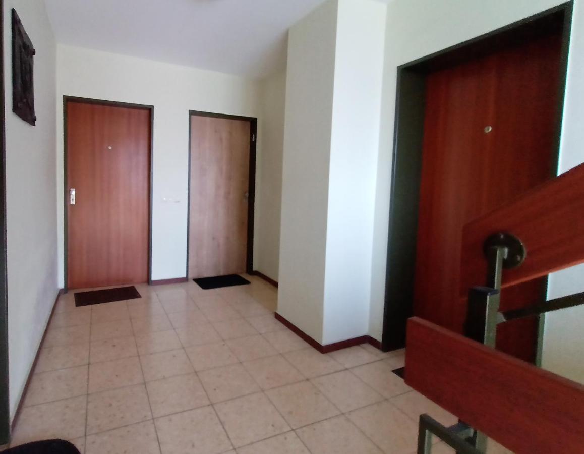 Bodensee Apartments Friedrichshafen Schnetzenhausen Екстериор снимка